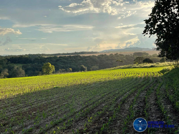 Imagem Chácara à Venda, 10 m² em Zona Rural - Goiás Imagem Chácara à Venda, 10 m² em Zona Rural - Goiás