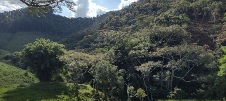 Imagem Chácara com 2 Quartos à Venda, 100 m² em Centro - Natividade Da Serra Imagem Chácara com 2 Quartos à Venda, 100 m² em Centro - Natividade Da Serra