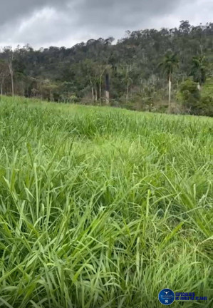 Imagem Fazenda à Venda, 45 m² em Zona Rural - São Félix Do Xingu Imagem Fazenda à Venda, 45 m² em Zona Rural - São Félix Do Xingu