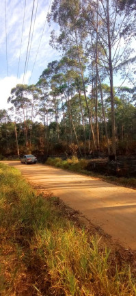 Imagem Imóvel à Venda, 266.200 m² em Pedra Vermelha (terra Preta) - Mairiporã Imagem Imóvel à Venda, 266.200 m² em Pedra Vermelha (terra Preta) - Mairiporã