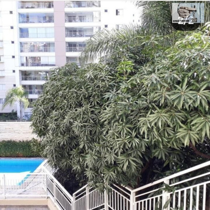 Imagem Apartamento com 3 Quartos à Venda, 104 m² em Lauzane Paulista - São Paulo Imagem Apartamento com 3 Quartos à Venda, 104 m² em Lauzane Paulista - São Paulo