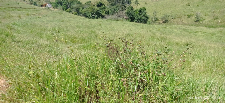 Imagem Chácara à Venda, 63.000 m² em Centro - Santa Branca Imagem Chácara à Venda, 63.000 m² em Centro - Santa Branca