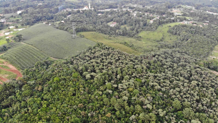 Imagem Terreno à Venda, 19.600 m² em Colônia Faria - Colombo
