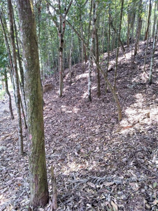 Imagem Terreno à Venda, 4.685 m² em Vargem Grande - Teresópolis Imagem Terreno à Venda, 4.685 m² em Vargem Grande - Teresópolis