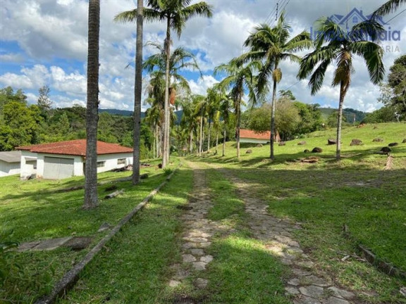 Imagem Chácara com 10 Quartos à Venda, 245.000 m² em Centro - Piracaia