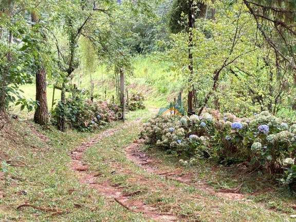 Imagem Imóvel com 6 Quartos à Venda, 544.500 m² em São Geraldo - Nova Friburgo Imagem Imóvel com 6 Quartos à Venda, 544.500 m² em São Geraldo - Nova Friburgo
