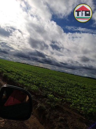 Imagem Fazenda à Venda, 21.780.000 m² em Zona Rural - Pau-d'arco Imagem Fazenda à Venda, 21.780.000 m² em Zona Rural - Pau-d'arco