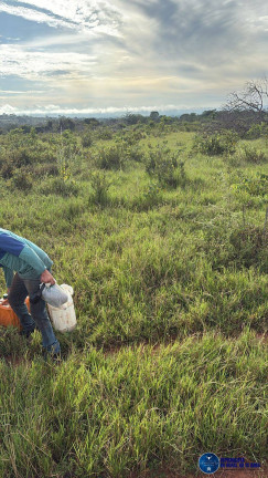 Imagem Fazenda à Venda, 260 m² em Zona Rural - Mineiros Imagem Fazenda à Venda, 260 m² em Zona Rural - Mineiros
