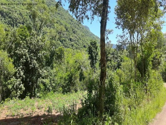 Imagem Imóvel com 2 Quartos à Venda, 11 m² em Linha Pirajá Baixa - Nova Petrópolis Imagem Imóvel com 2 Quartos à Venda, 11 m² em Linha Pirajá Baixa - Nova Petrópolis