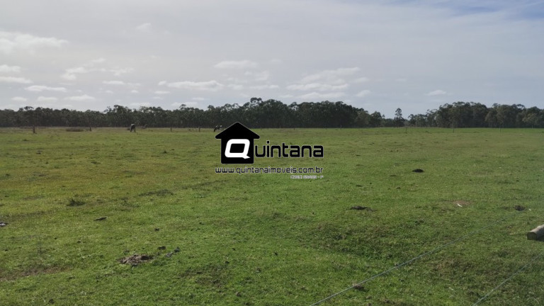 Imagem Imóvel com 2 Quartos à Venda, 470.000 m² em Quinta - Rio Grande Imagem Imóvel com 2 Quartos à Venda, 470.000 m² em Quinta - Rio Grande
