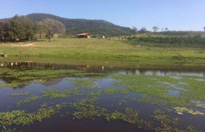 Imagem Fazenda à Venda, 285 m² em Serra De Botucatu - Bofete Imagem Fazenda à Venda, 285 m² em Serra De Botucatu - Bofete
