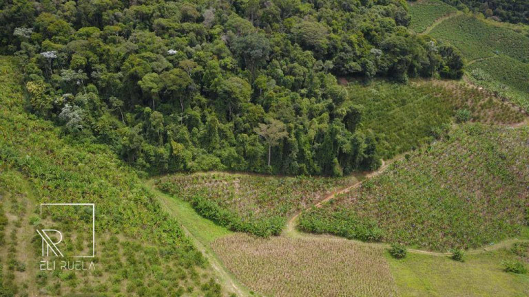 Imagem Chácara com 3 Quartos à Venda, 30.000 m² em Boa Esperança - Marechal Floriano Imagem Chácara com 3 Quartos à Venda, 30.000 m² em Boa Esperança - Marechal Floriano