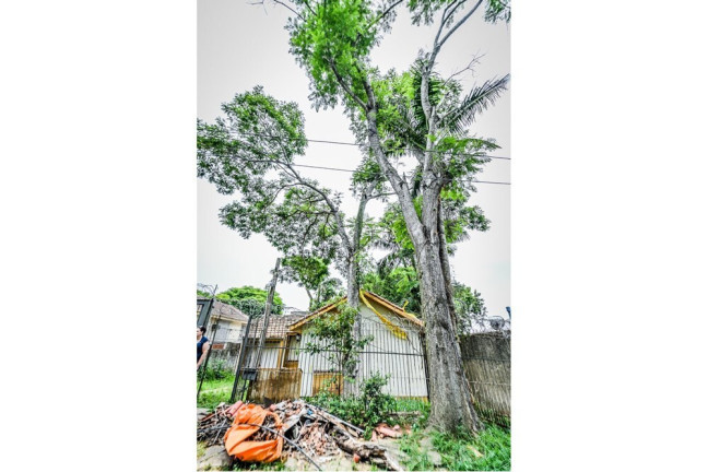 Imagem Casa com 3 Quartos à Venda, 143 m² em Santa Tereza - Porto Alegre Imagem Casa com 3 Quartos à Venda, 143 m² em Santa Tereza - Porto Alegre