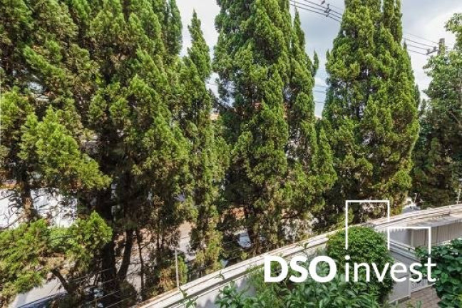 Imagem Casa com 3 Quartos à Venda, em Jardim Paulistano - São Paulo Imagem Casa com 3 Quartos à Venda, em Jardim Paulistano - São Paulo