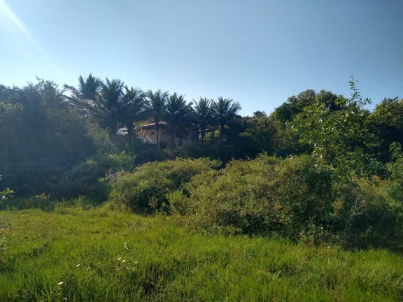 Imagem Imóvel à Venda, 874 m² em Palmeiras - Guaraparia