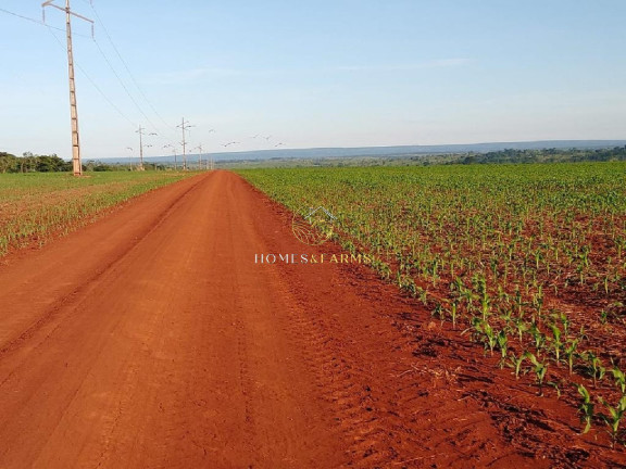 Imagem Imóvel com 3 Quartos à Venda, 12.375 m² em Jardim Acacia - Tangará Da Serra Imagem Imóvel com 3 Quartos à Venda, 12.375 m² em Jardim Acacia - Tangará Da Serra