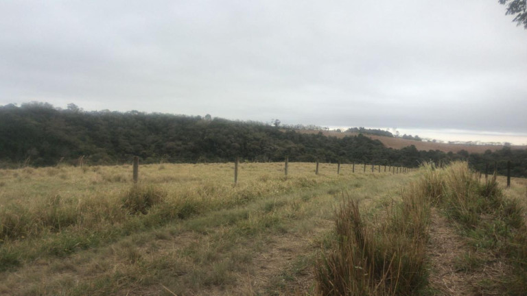 Imagem Fazenda à Venda, 59 m² em Rural - São Miguel Arcanjo