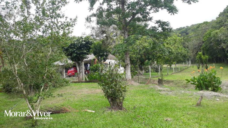 Imagem Chácara com 3 Quartos à Venda, 84.750 m² em Alexandra - Paranaguá Imagem Chácara com 3 Quartos à Venda, 84.750 m² em Alexandra - Paranaguá