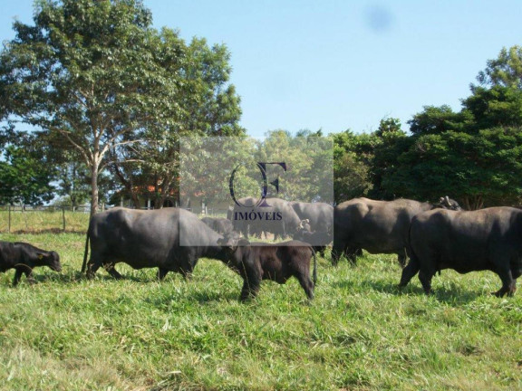 Imagem Fazenda à Venda, 297 m² em Rural - Santana Do Itararé