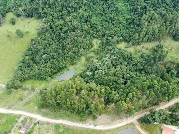 Imagem Fazenda à Venda, 87.500 m² em Centro - Witmarsum