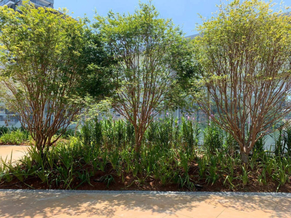 Imagem Ponto Comercial à Venda, 46 m² Imagem Ponto Comercial à Venda, 46 m²