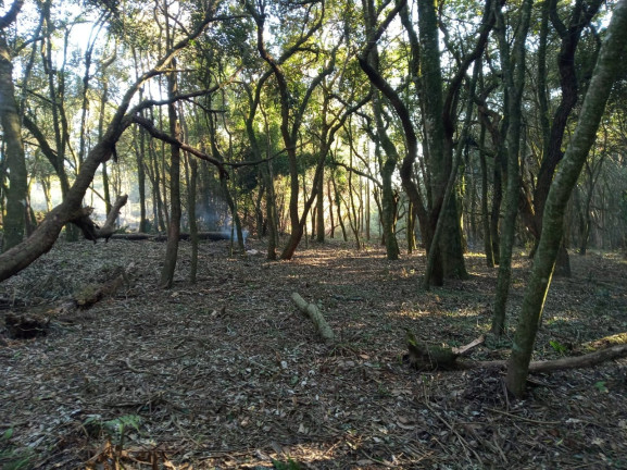 Imagem Chácara à Venda, 9.000 m² em São Luiz Do Purunã - Balsa Nova