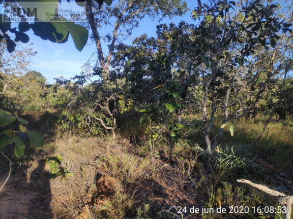 Imagem Chácara à Venda, 49.500.000 m² em Centro - Buritizeiro