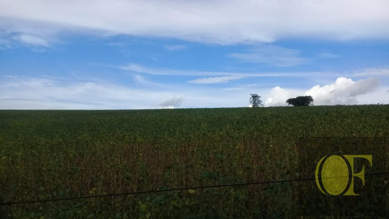 Imagem Fazenda à Venda, 75 m² em Rural - Paranapanema Imagem Fazenda à Venda, 75 m² em Rural - Paranapanema