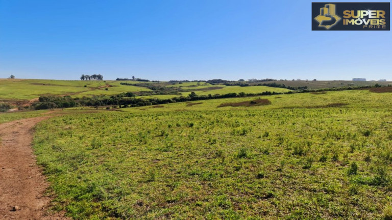 Imagem Imóvel à Venda, 1.880.000 m² em área Rural De Bagé - Bagé