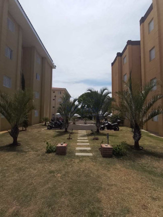Imagem Apartamento com 2 Quartos à Venda, 47 m² em Residencial Das Flores - Pirassununga Imagem Apartamento com 2 Quartos à Venda, 47 m² em Residencial Das Flores - Pirassununga