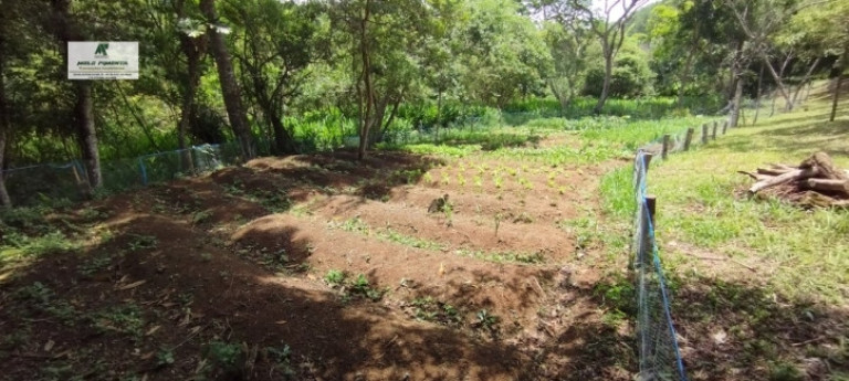 Imagem Fazenda à Venda, 5.000 m² em Alto Da Serra - São Roque Imagem Fazenda à Venda, 5.000 m² em Alto Da Serra - São Roque