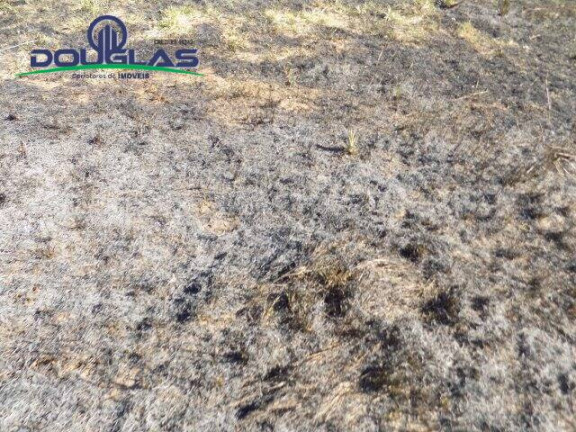 Imagem Terreno à Venda, 853 m² em Viamão Imagem Terreno à Venda, 853 m² em Viamão
