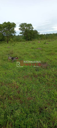 Imagem Fazenda à Venda, 1.411 m² em Poxoréo Imagem Fazenda à Venda, 1.411 m² em Poxoréo