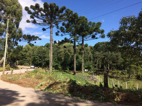 Imagem Terreno à Venda, 800 m² em Vale Dos Pinheiros - Gramado Imagem Terreno à Venda, 800 m² em Vale Dos Pinheiros - Gramado