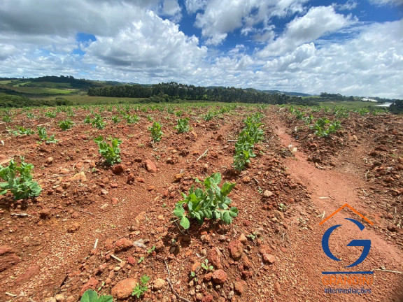 Imagem Imóvel com 3 Quartos à Venda, em Minas Gerais - Munhoz Imagem Imóvel com 3 Quartos à Venda, em Minas Gerais - Munhoz