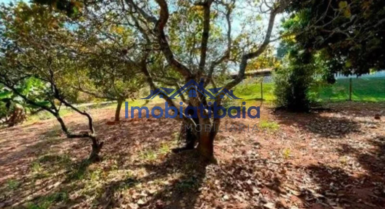 Imagem Chácara com 3 Quartos à Venda, 3.240 m² em Laranjal - Atibaia