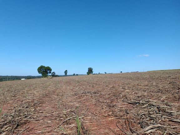 Imagem Chácara à Venda, 29 m² em Rural - Avaré