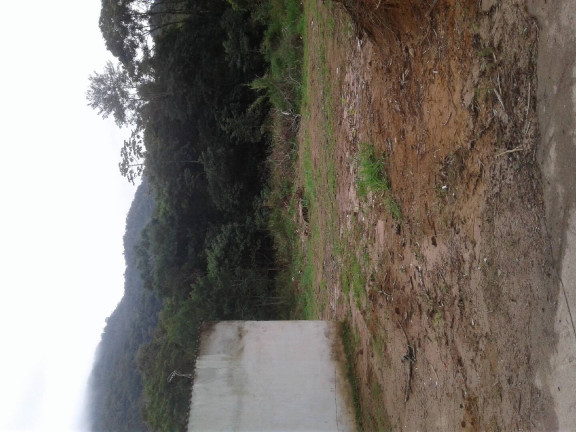 Imagem Terreno à Venda, 485 m² em Sertão Da Quina - Cachoeira - Ubatuba Imagem Terreno à Venda, 485 m² em Sertão Da Quina - Cachoeira - Ubatuba