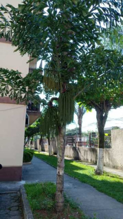 Imagem Imóvel com 2 Quartos à Venda, 60 m² em Campo Grande - Rio De Janeiro Imagem Imóvel com 2 Quartos à Venda, 60 m² em Campo Grande - Rio De Janeiro