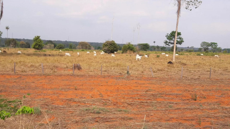 Imagem Fazenda à Venda, 242 m² em Zona Rural - Itaúba Imagem Fazenda à Venda, 242 m² em Zona Rural - Itaúba