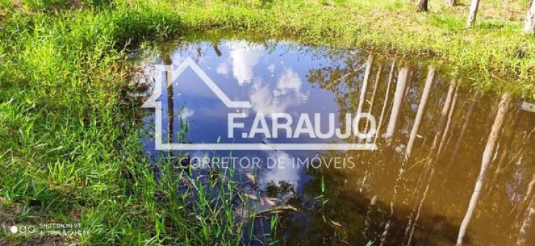 Imagem Imóvel com 3 Quartos à Venda, 5.250 m² em Campo Do Meio - Araçoiaba Da Serra Imagem Imóvel com 3 Quartos à Venda, 5.250 m² em Campo Do Meio - Araçoiaba Da Serra