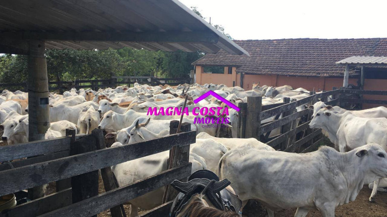 Imagem Fazenda à Venda, 2 m² em Banqueiros - Araruama