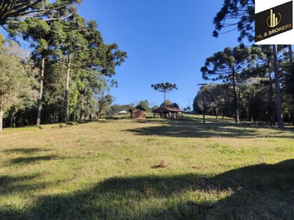 Imagem Imóvel com 2 Quartos à Venda, 20.000 m² em Zona Rural - Balsa Nova Imagem Imóvel com 2 Quartos à Venda, 20.000 m² em Zona Rural - Balsa Nova