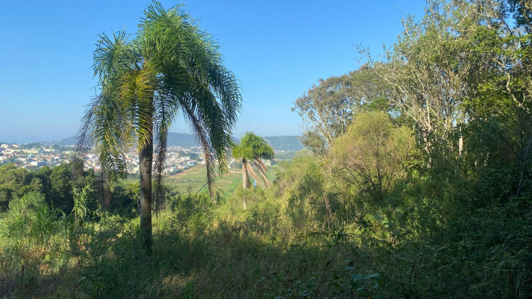 Imagem Terreno à Venda, 61.000 m² em Ambrósio - Garopaba Imagem Terreno à Venda, 61.000 m² em Ambrósio - Garopaba