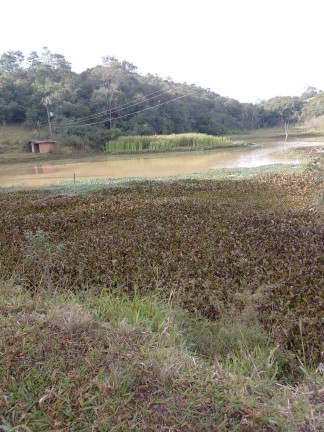 Imagem Chácara à Venda, 133 m² em Bairro Dos Leites - Piedade Imagem Chácara à Venda, 133 m² em Bairro Dos Leites - Piedade
