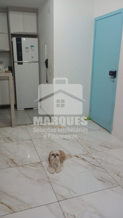 Imagem Apartamento com 2 Quartos à Venda, 56 m² em Jardim Bela Vista - Sumaré Imagem Apartamento com 2 Quartos à Venda, 56 m² em Jardim Bela Vista - Sumaré