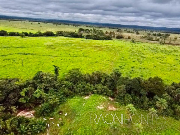 Imagem Fazenda à Venda, 7.930.000 m² em Zona Rural - Filadélfia Imagem Fazenda à Venda, 7.930.000 m² em Zona Rural - Filadélfia