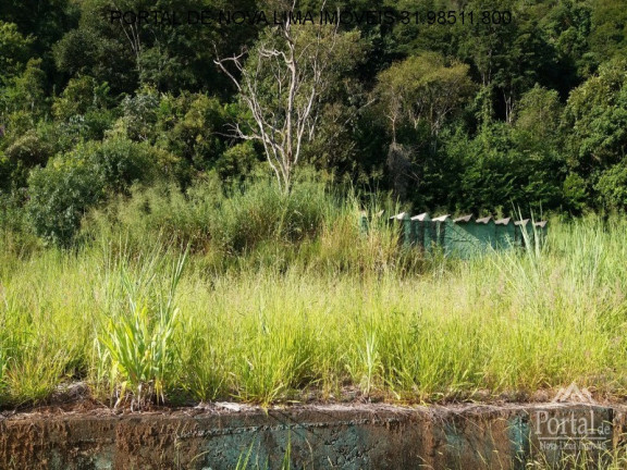 Imagem Terreno à Venda, 2.000 m² em Bela Fama - Nova Lima