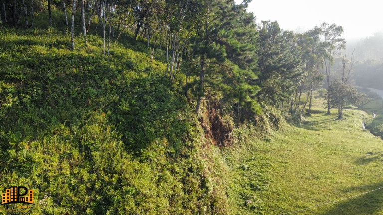 Imagem Terreno à Venda, 3.000 m² em Barrinha - São Lourenço Da Serra Imagem Terreno à Venda, 3.000 m² em Barrinha - São Lourenço Da Serra