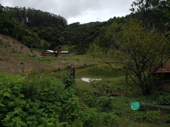 Imagem Imóvel com 3 Quartos à Venda, 250.000 m² em Zona Rural - Bom Retiro Imagem Imóvel com 3 Quartos à Venda, 250.000 m² em Zona Rural - Bom Retiro